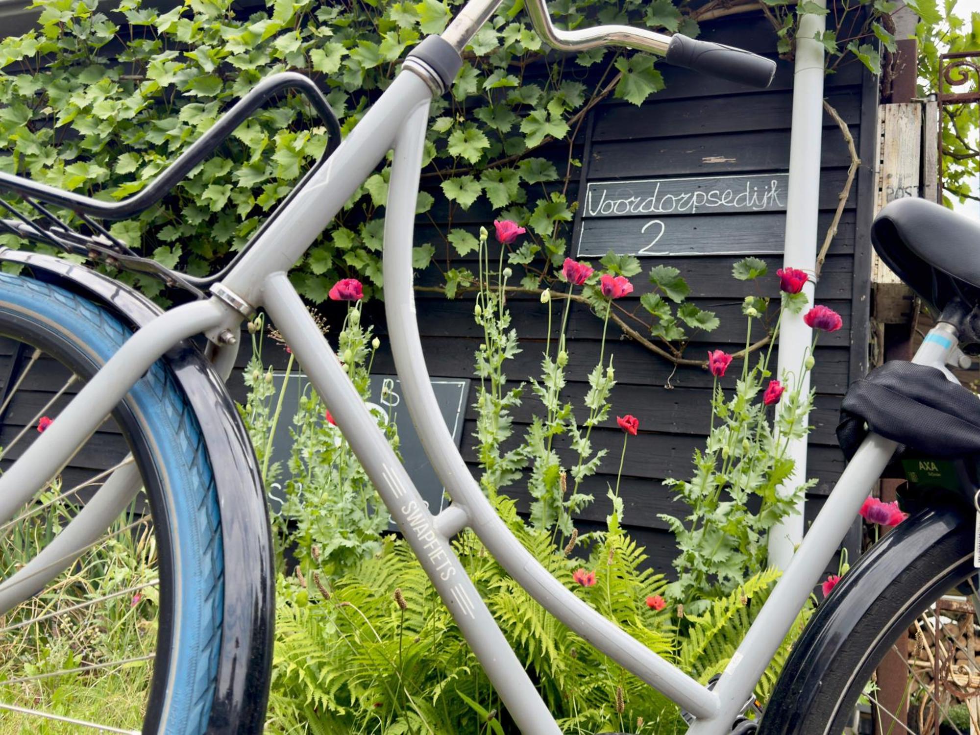 B En B Sluisje 1818 Bed & Breakfast Utrecht